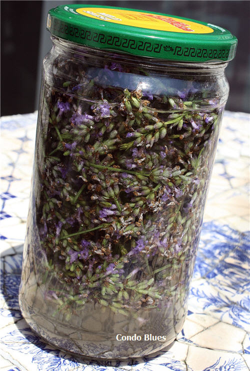 How to Make Lavender Extract DIY & Crafts Handimania